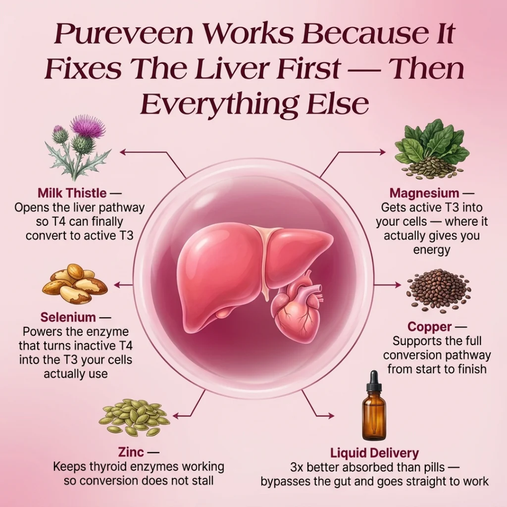 Pureveen™ Thyroid Balance